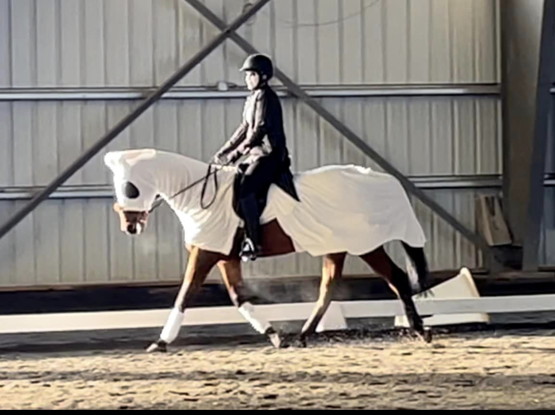 2023 Spooktacular Costume Highlights — Spokane Sport Horse Farm